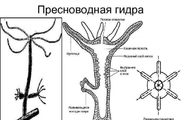 Рабочая blacksprut 1blacksprut me